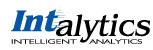 INTALYTICS INC