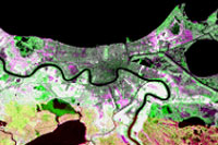 NDVI Change 1990 to 2000