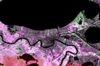 NDVI Change 1975 to 1990