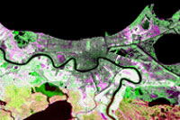 NDVI Change 1975 to 2005