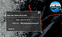 Go to the site