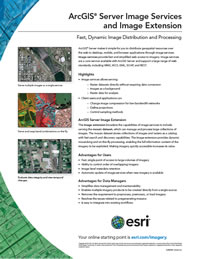 Fast, Dynamic Image Distribution and Processing
