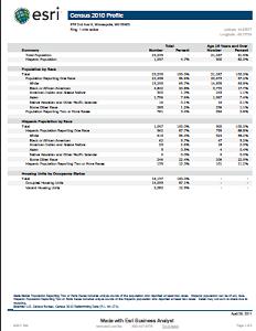 view a sample census 2010 report