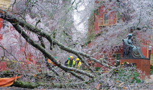 Following Ice Storm, City Fixes Tree Hazards in Real Time