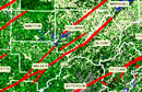 Assessing Forest Damage