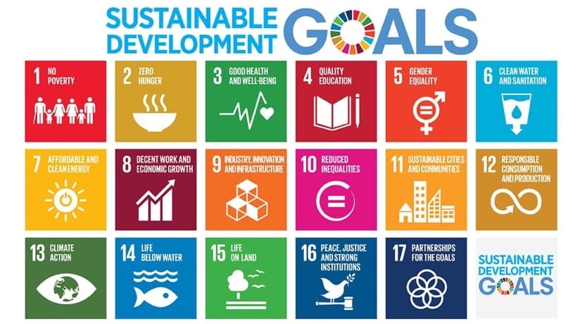UN SDGs