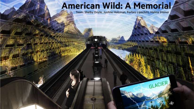 American Wild example