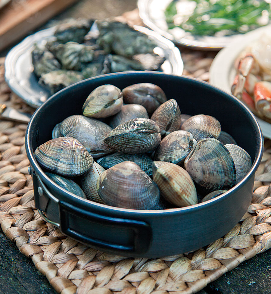 Photo courtesy of Taylor Shellfish Farms.