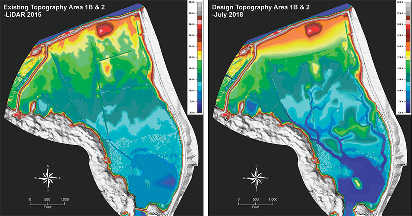 DSMs and DTMs of the land
