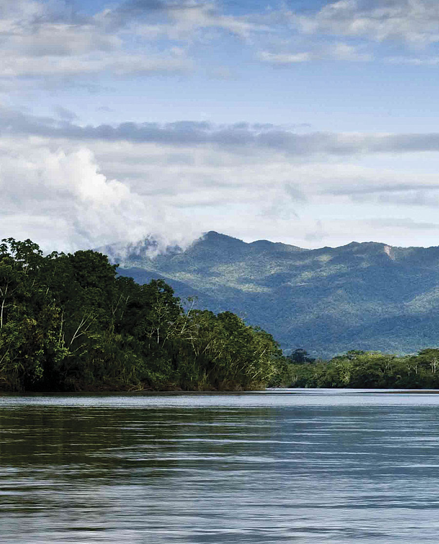 Photo courtesy of Nico Kingman.