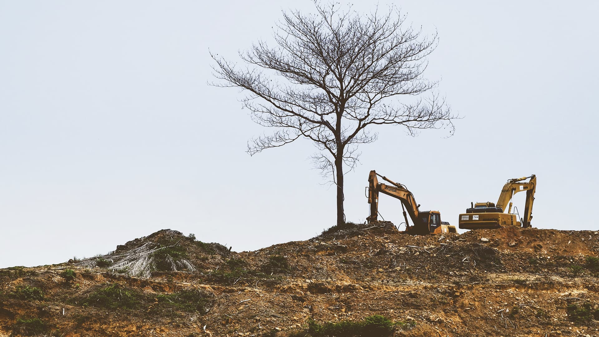 Real estate speculation without location intelligence