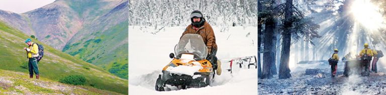 Three photos: one of a BLM staff member in a field in Alaska, one of a BLM staff member on a snowmobile in Alaska, and one of BLM firefighters in a burnt forest in California
