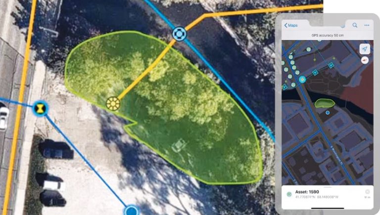 Trees highlighted with in green with data points indicating areas to feature