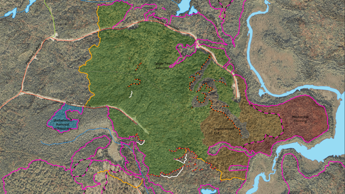 Harvest blocks in GIS