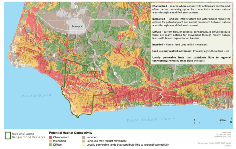 Potential habitat connectivity around the Dangermond Preserve.