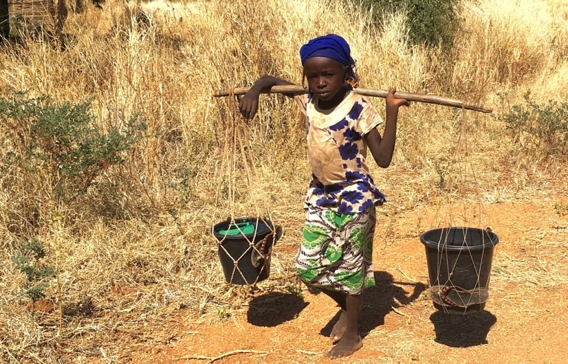 carrying pole and pails