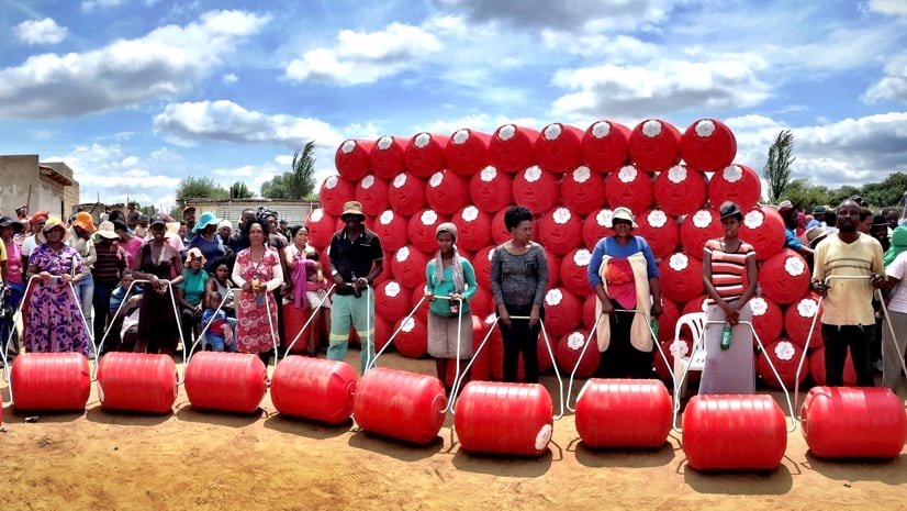 hippo roller distribution