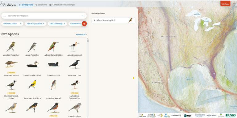 Bird Migration Explorer landing page