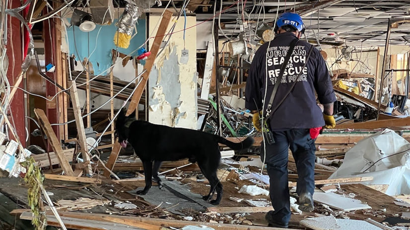 New York Task Force One K9 search