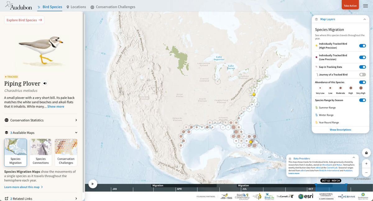 Piping Plover Range map
