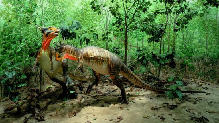 Prehistoric Journey exhibit at the Denver Museum of Nature & Science