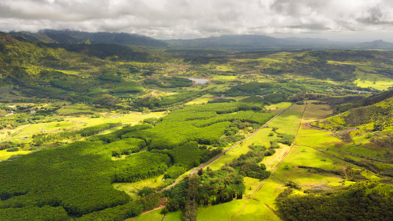 Kauai's fertile interior