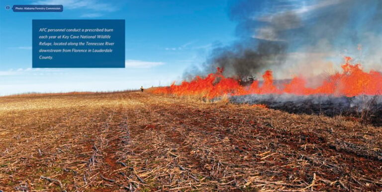 AFC personnel conduct a prescribed burn at a wildlife refuge in Lauderdale County, Alabama.