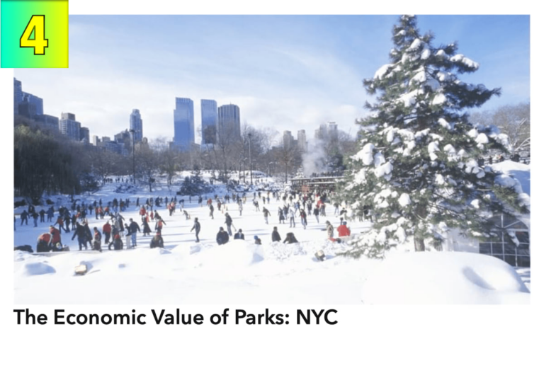 Skating in Central Park in New York City