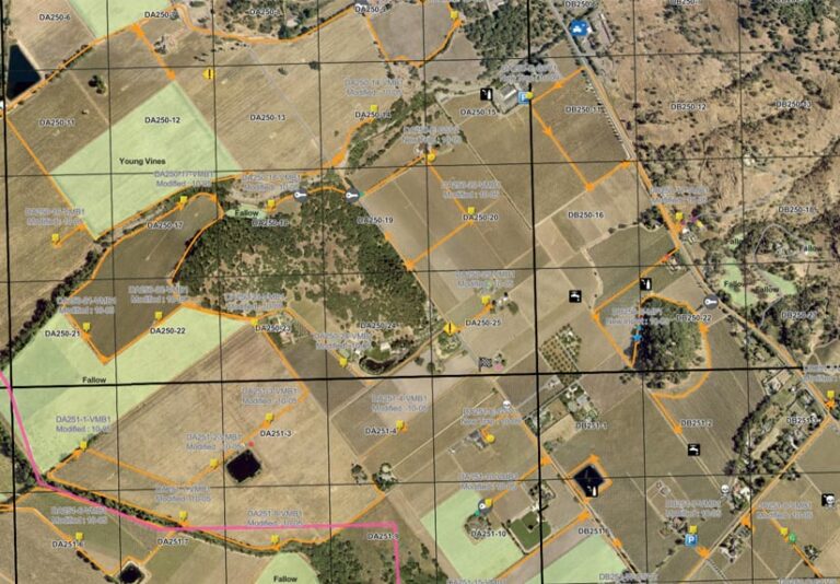 A mostly tan-colored aerial view shows developed and undeveloped land areas, labeled with titles such as “Young Vines.”