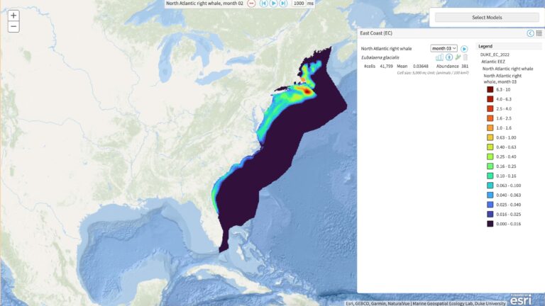 Marine mammal density map of North Atlantic right whale