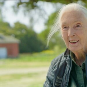 The Calculus of Hope: In Remembrance of Dr. Jane Goodall