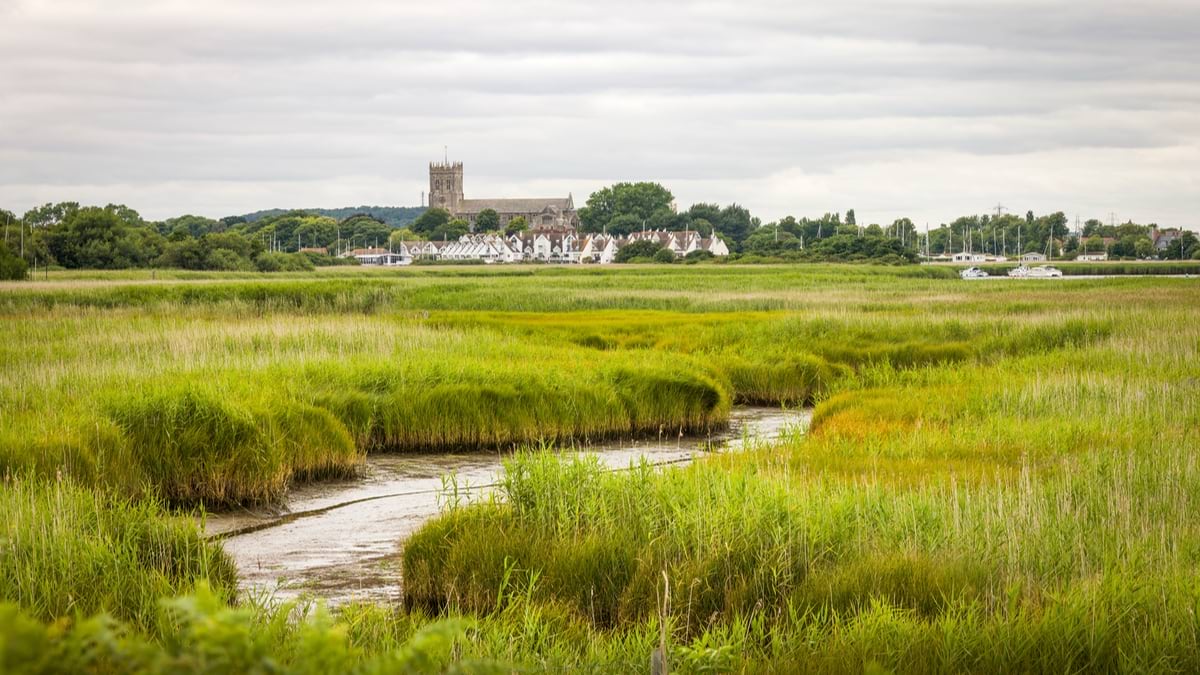 The Hengistbury Head nature reserve wetlands in Dorset UK