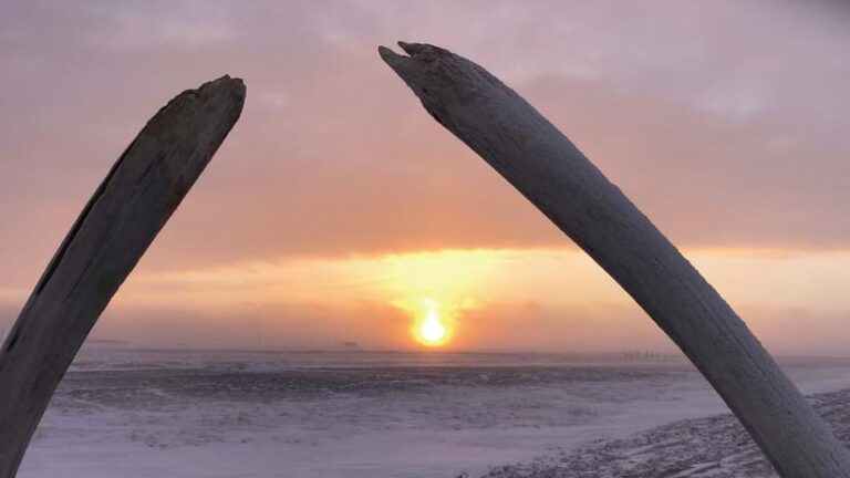 A pair of whale bones jutting up over the sun in the foreground of an icy landscape.