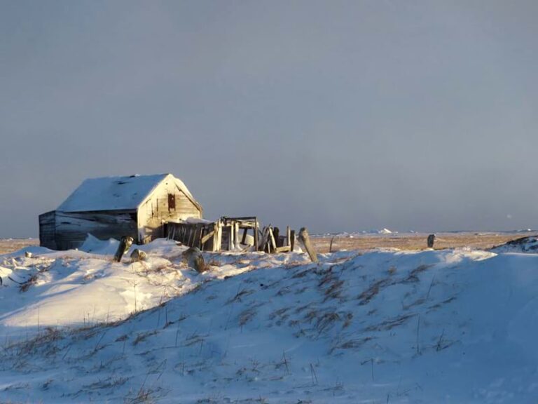 Snow piled in drifts against a dilapidated house.