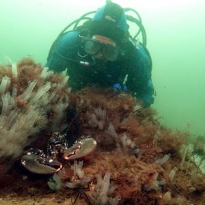 Mapping a Marine Renaissance: Geospatial Tools in Scottish Seabed Revival