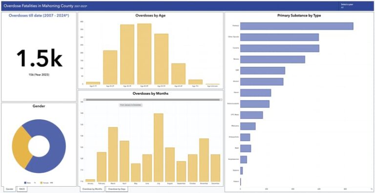 A dashboard titled “Overdose Fatalities in Mahoning County” featuring information about overdoses by age, month, gender, and type of primary substance.