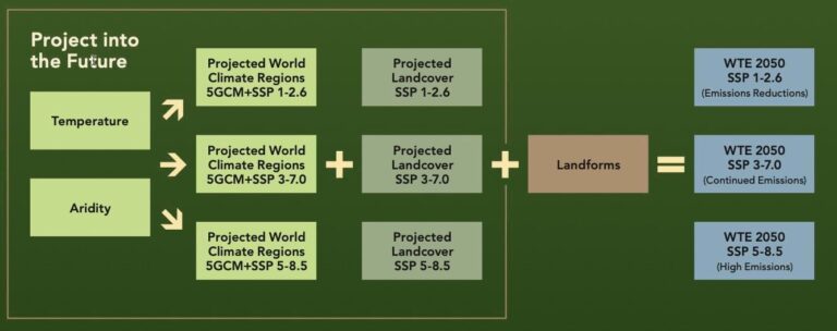 A workflow diagram visually detailing the data and output of the WTEs described in this sidebar.