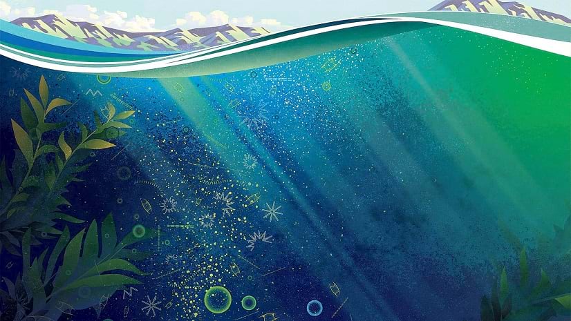 A drawing of an undulating water surface, bubbles, and underwater plants, with mountains, clouds, and blue sky in the distance