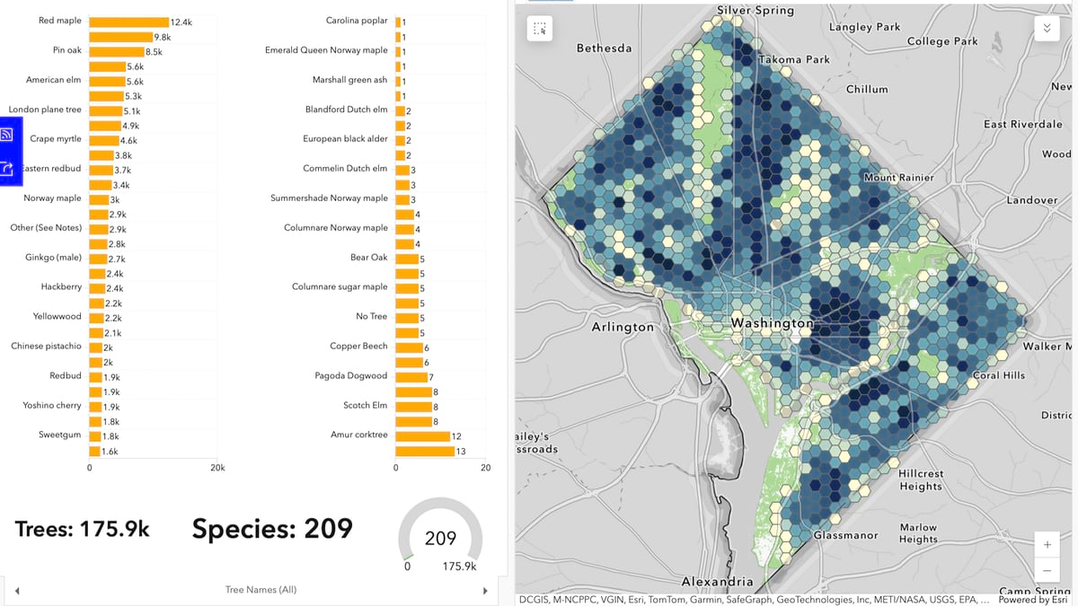 DC Forest Action map