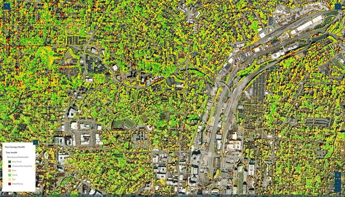 Wake Country tree canopy health map zoomed in