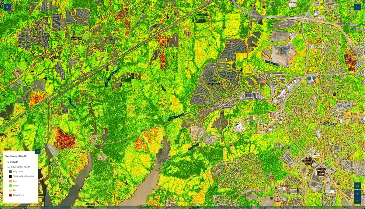 WakeCounty tree canopy health map