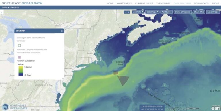 Map of the Atlantic Ocean near the Northeast of the United States showing habitat suitability in the ocean. The map highlights the Stellwagen Bank National Marine Sanctuary and the Northeast Canyons and Seamounts Marine National Monument. Areas marked in yellow and green have good habitat suitability while areas marked in blue have poor habitat suitability.
