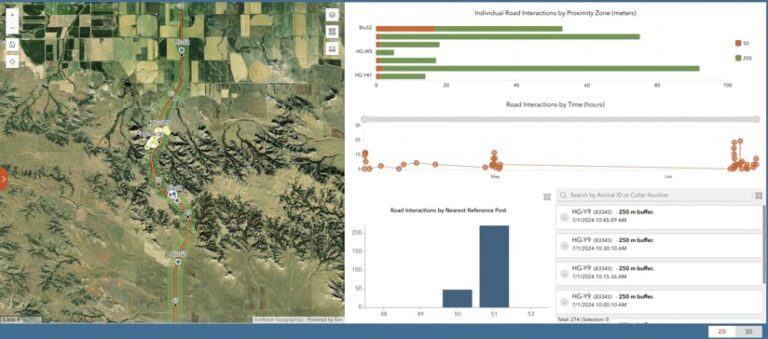 A dashboard displays the interactions of animals with roads. A map shows animal locations (yellow dots) along a highway. Bar graphs illustrate the number of interactions at different proximity zones. A line graph shows interactions over time. A bar graph shows interactions near reference posts. A table lists specific animal IDs, times, and buffer zones.