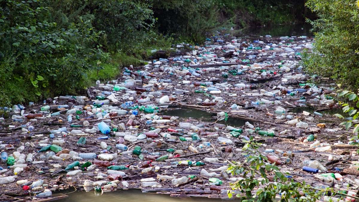 Stream completely clogged with thousands of plastic bottles and debris of various colors (green, blue, white, red) scattered across the water surface and banks, surrounded by lush green vegetation.