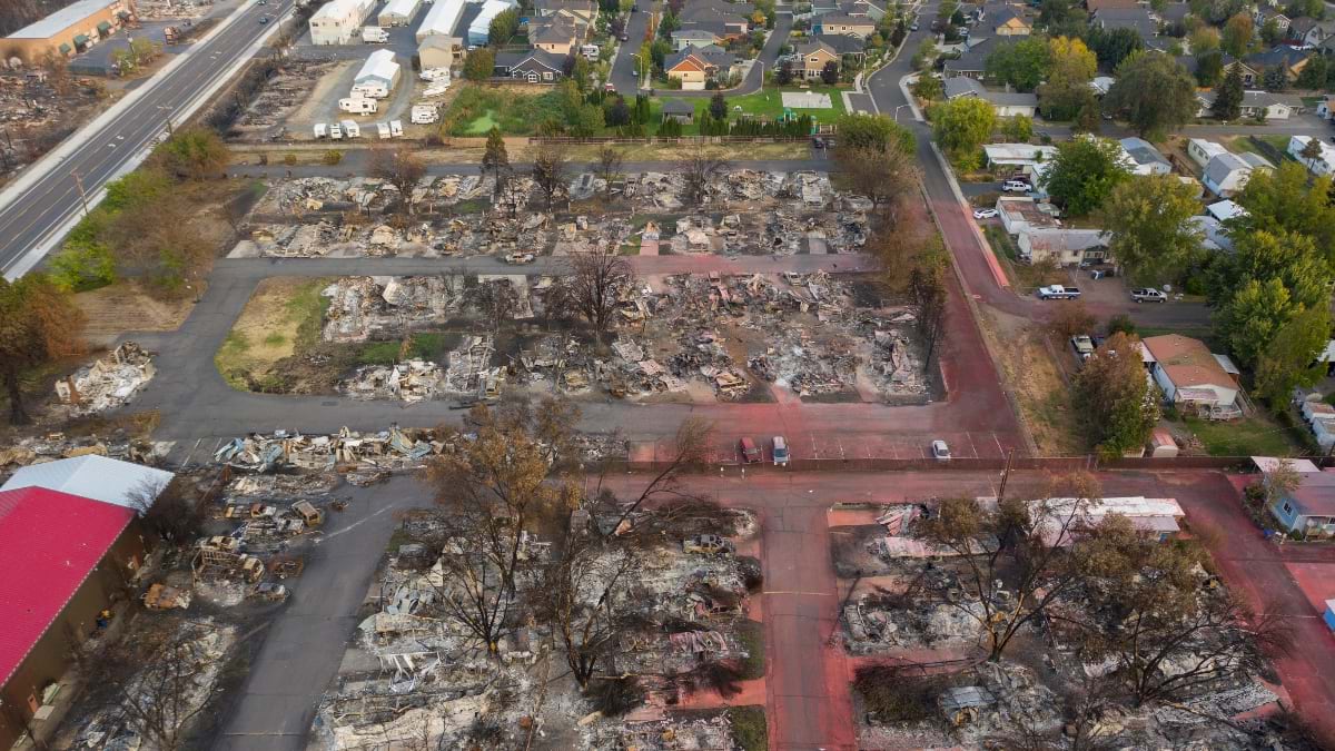 Aerial view showing stark contrast between completely burned residential area with only foundation remnants and ash-covered ground, adjacent to intact neighborhoods with green trees and undamaged homes, illustrating wildfire's unpredictable path of destruction.