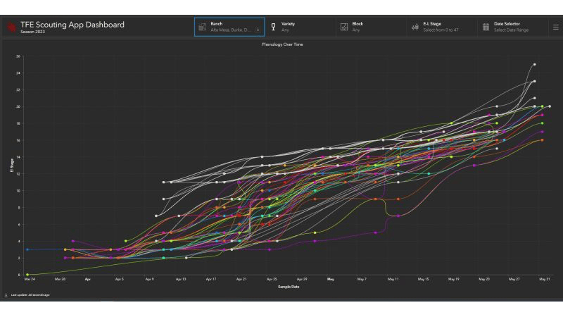 Complex line graph showing multiple colored trend lines representing phenology data over time, with data points tracking vine development stages across different vineyard blocks throughout the growing season.