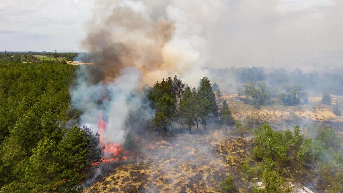 Aerial view of a wildfire with visible flames and thick smoke spreading through forested terrain, with electrical transmission lines and towers visible in the background near the fire's path.