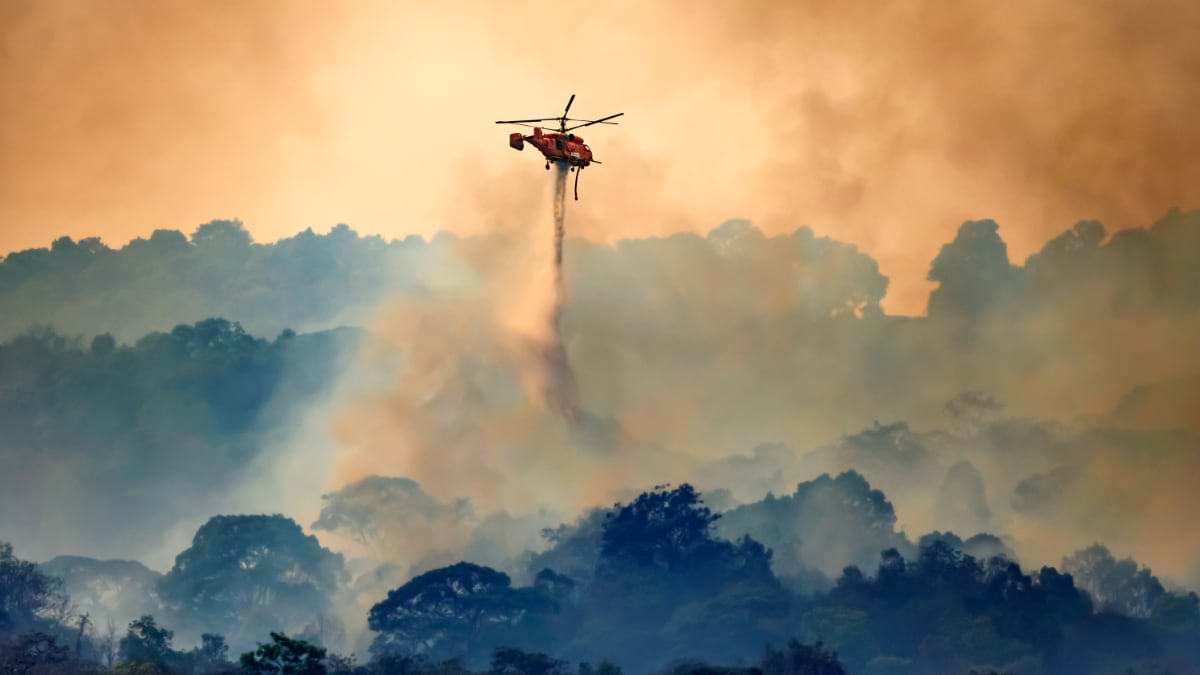 Red helicopter releasing water over a forested landscape filled with thick smoke and golden light from flames, with tree silhouettes visible through the haze.