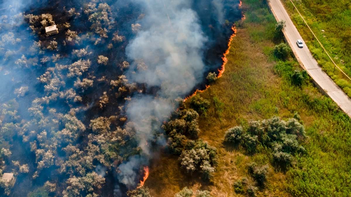 Aerial view of a grass fire with flames burning close to ground level through vegetation, creating a line of fire approaching a paved road with structures visible nearby.
