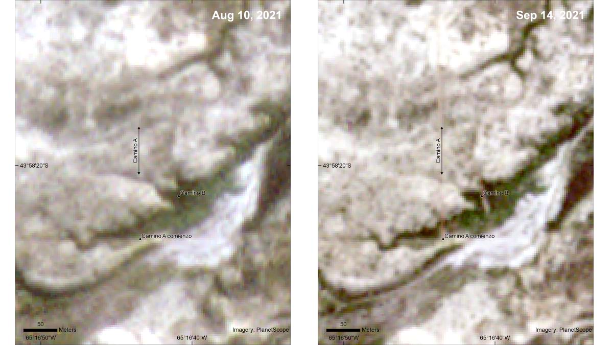 Before and After PlanetScope image with evidence of road construction